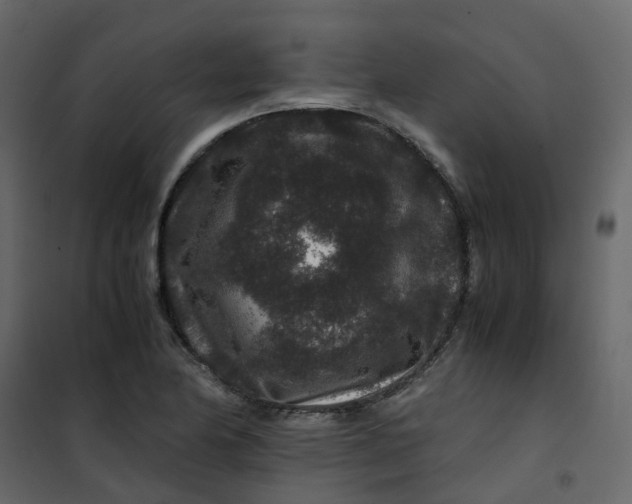 X0000101101174200807171905