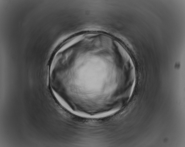 X0000101101175200807171905