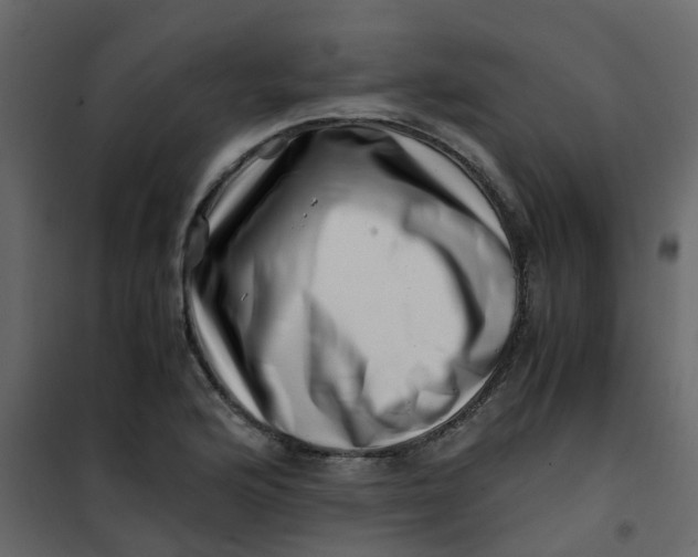 X0000101101176200807171905