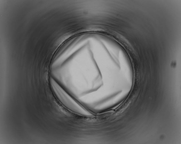 X0000101101177200807171905