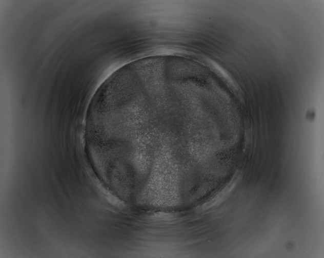 X0000101101178200807171905