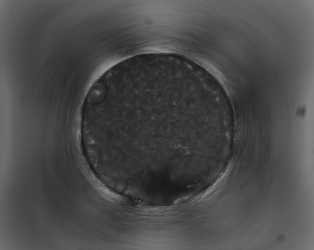 X0000101101179200807171904