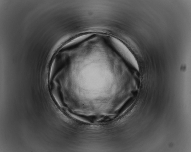 X0000101101180200807171904