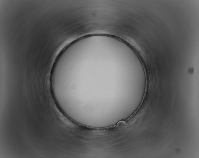 X0000101101181200807171904