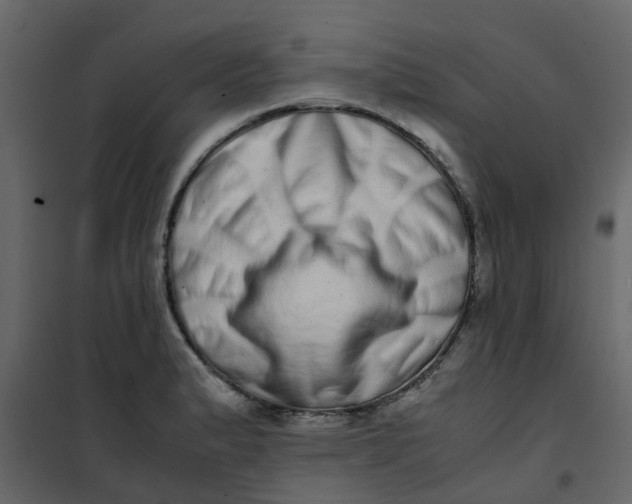 X0000101101183200807171904