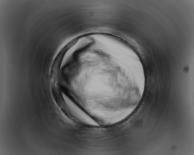 X0000101101184200807171904