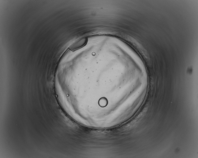 X0000101101185200807171904