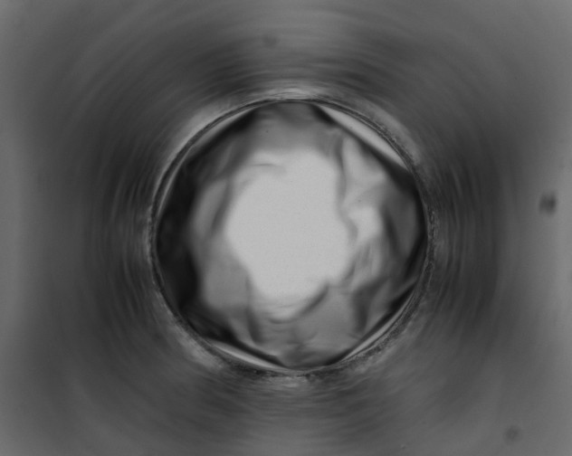 X0000101101186200807171904