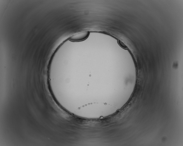 X0000101101187200807171904