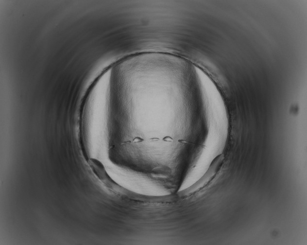 X0000101101188200807171904