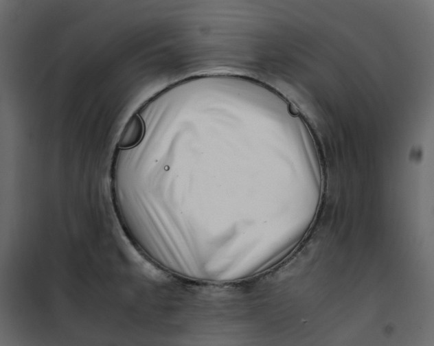 X0000101101189200807171904