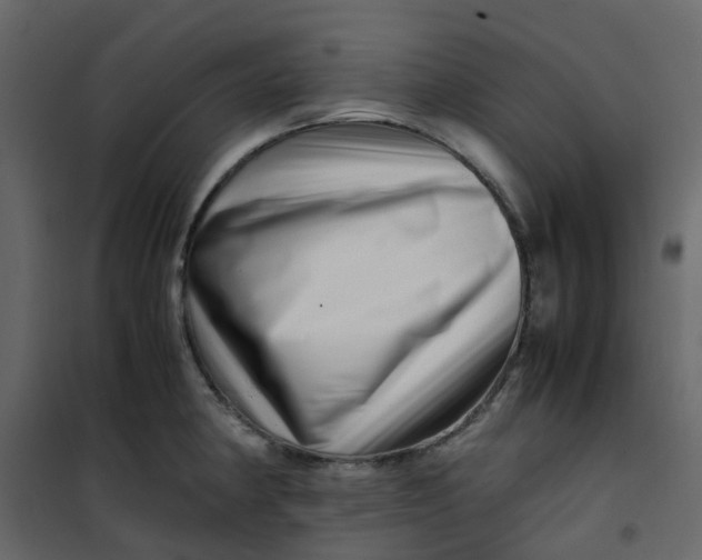 X0000101101190200807171904