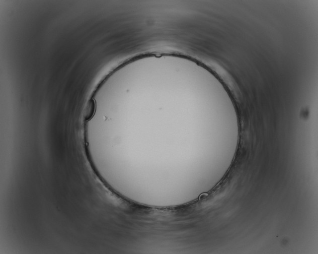 X0000101101191200807171904