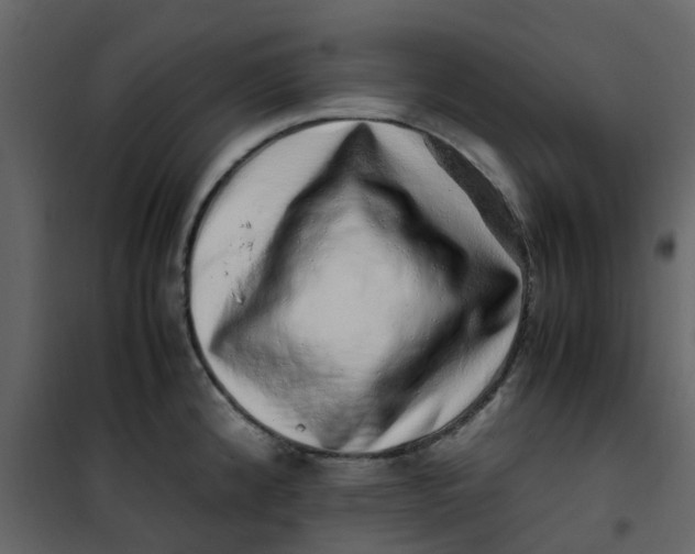 X0000101101192200807171904