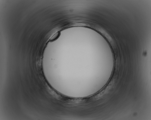 X0000101101193200807171904