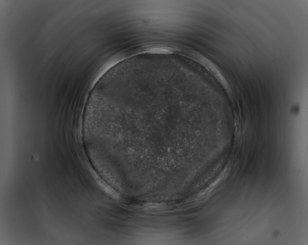 X0000101101194200807171904