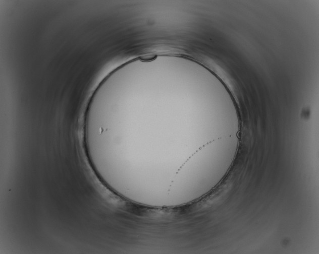 X0000101101195200807171904