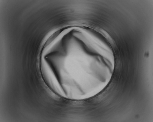 X0000101101196200807171904