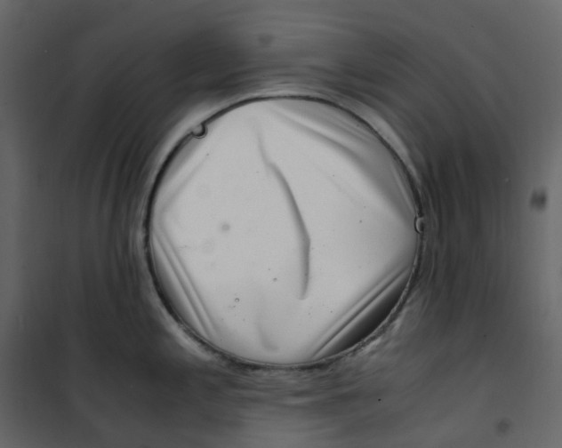 X0000101101197200807171904