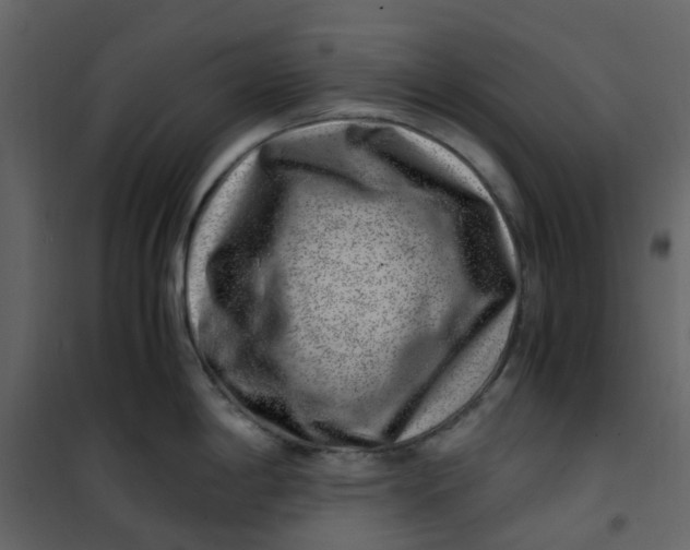 X0000101101198200807171904