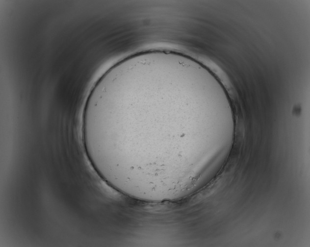 X0000101101199200807171904