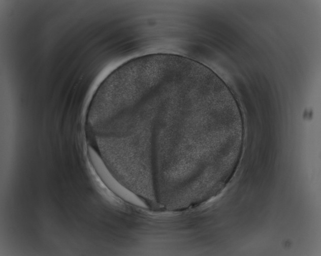 X0000101101200200807171904