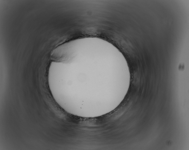 X0000101101201200807171904