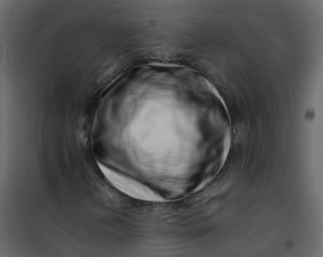 X0000101101202200807171904