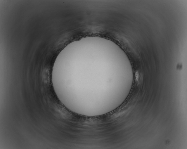 X0000101101203200807171904