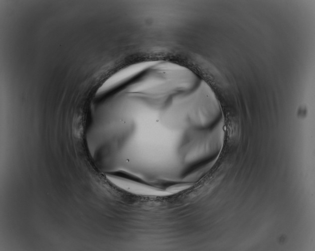 X0000101101204200807171904