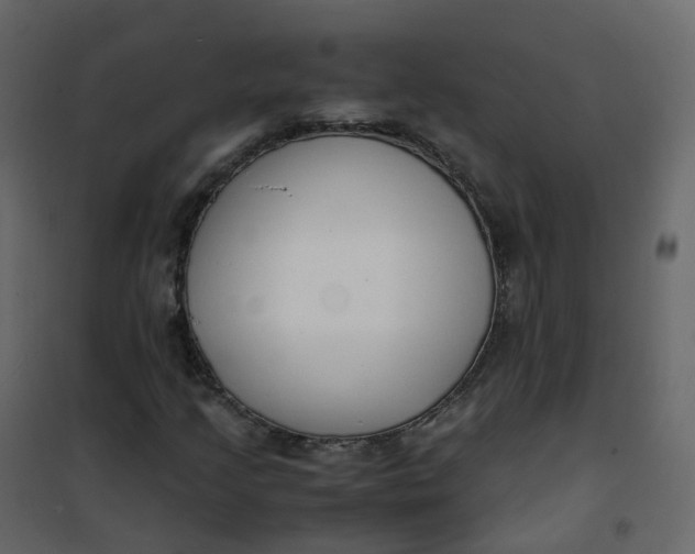 X0000101101205200807171904