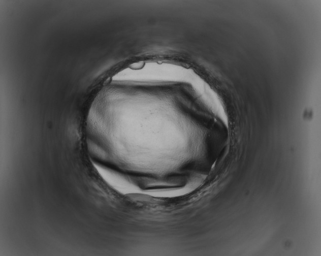 X0000101101206200807171904