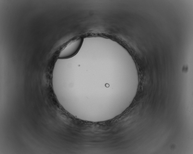 X0000101101207200807171904