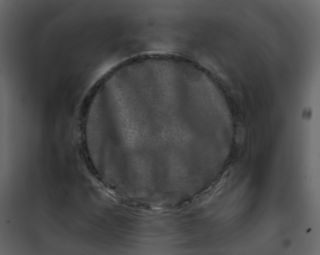 X0000101101208200807171904