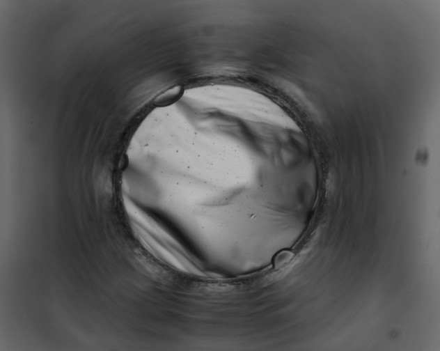 X0000101101209200807171904