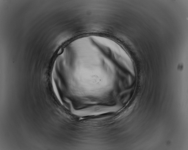 X0000101101210200807171904