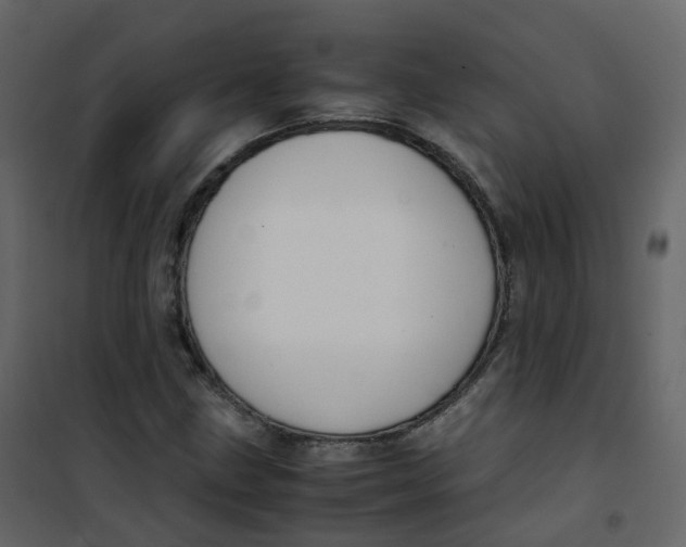 X0000101101211200807171904