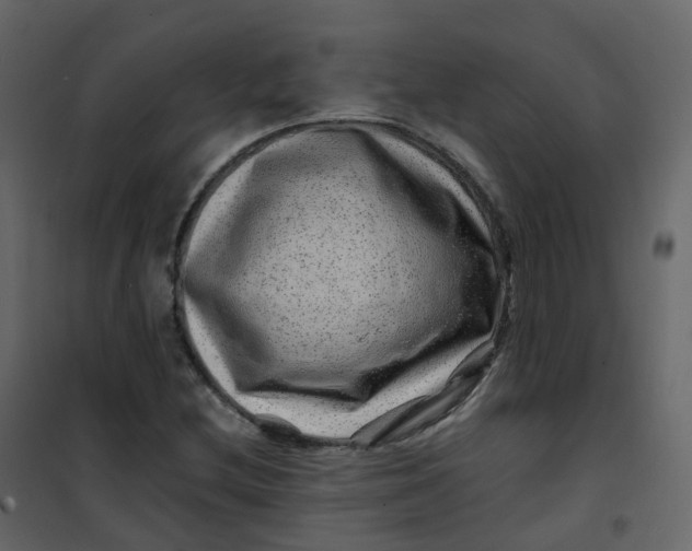 X0000101101212200807171904