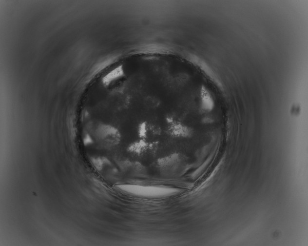 X0000101101213200807171904