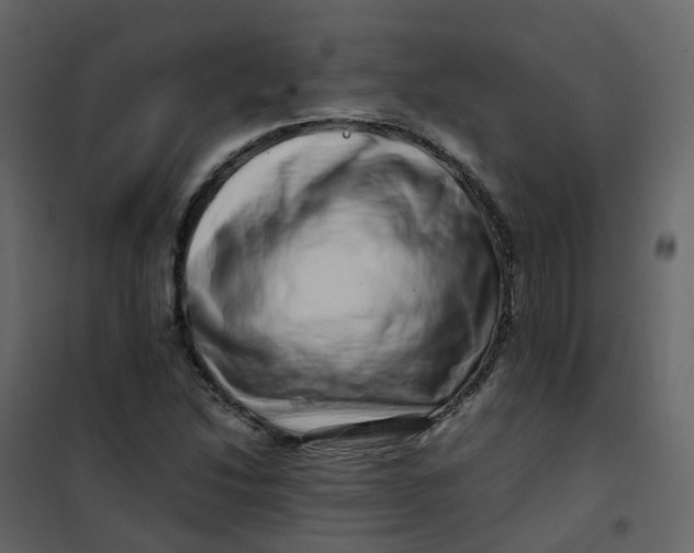 X0000101101214200807171904