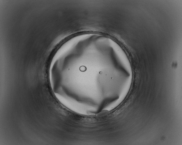 X0000101101215200807171904