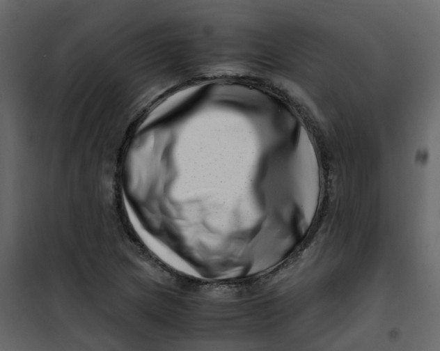 X0000101101217200807171904