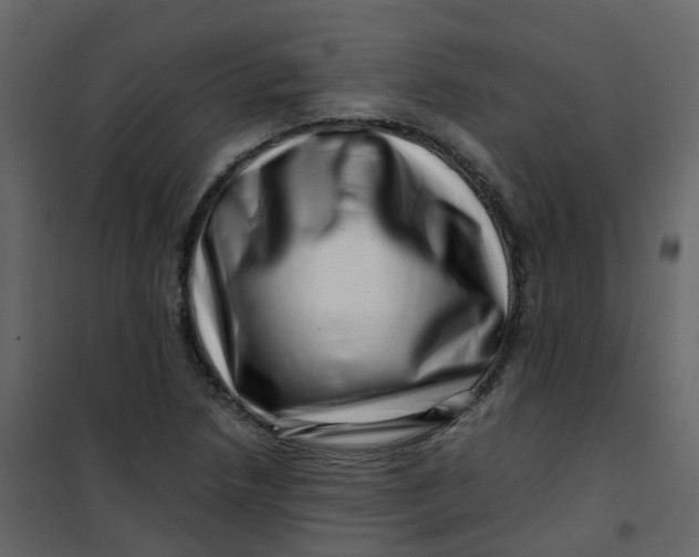 X0000101101218200807171904