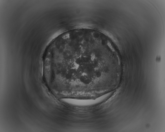 X0000101101219200807171904