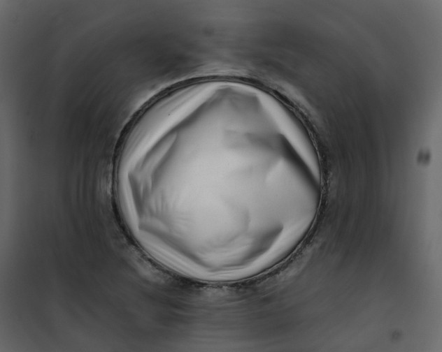 X0000101101220200807171904