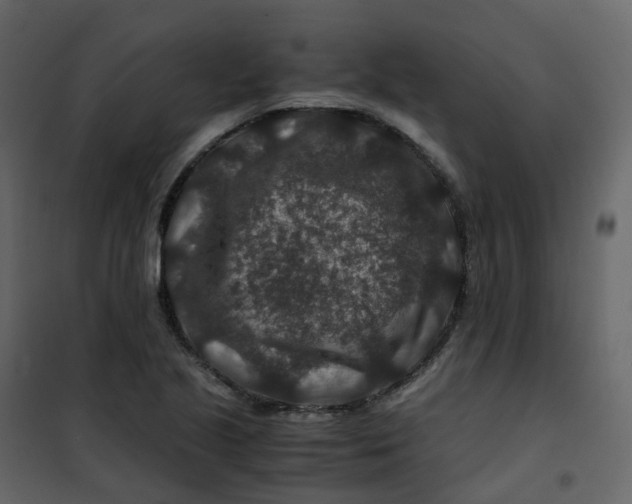 X0000101101221200807171904