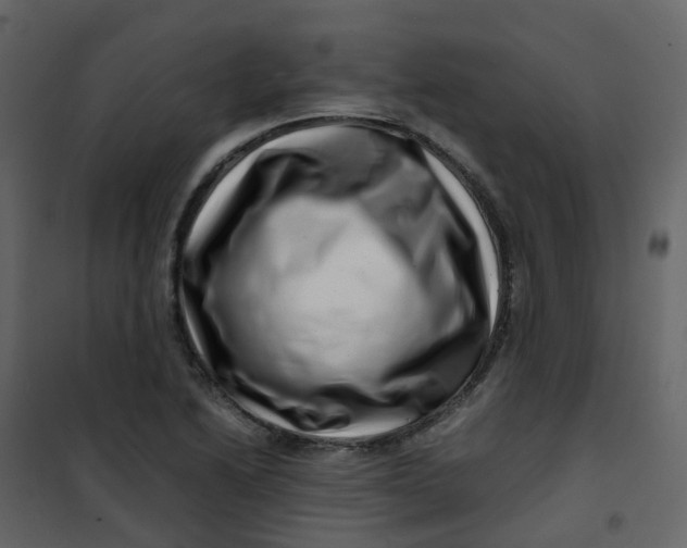 X0000101101222200807171904