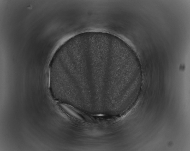 X0000101101223200807171904