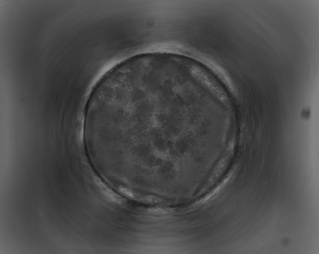 X0000101101224200807171904