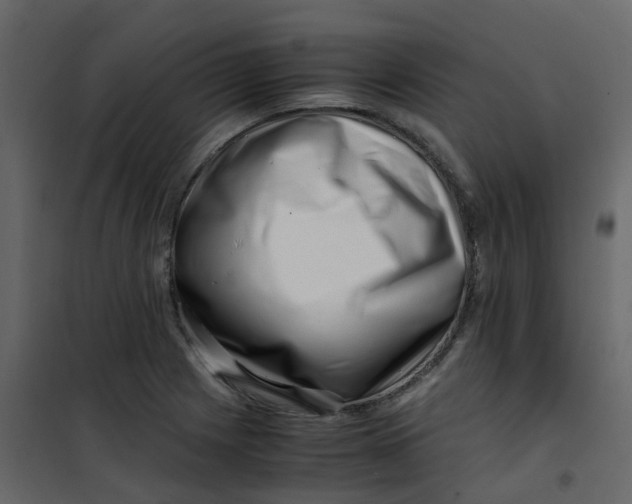 X0000101101225200807171904